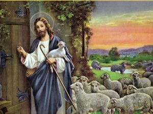 Jésus pasteur2
