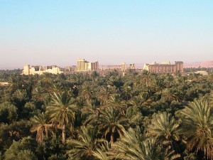 Palmyra_SYRIE_373